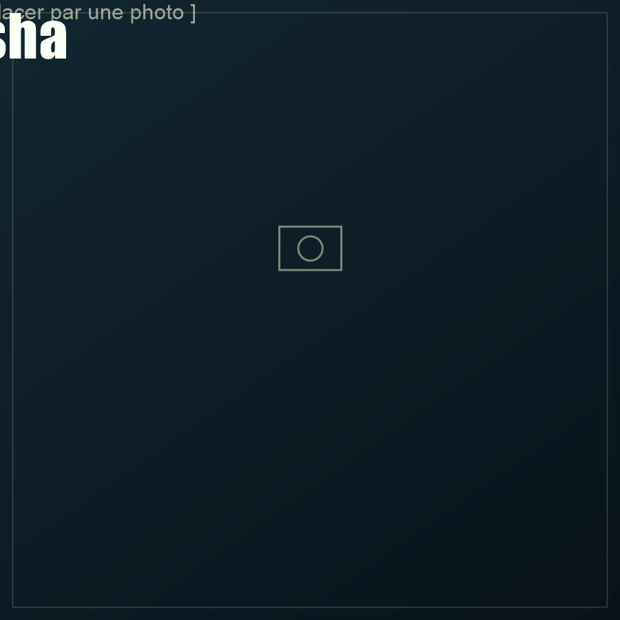 Risha / plectre